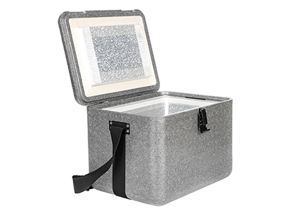 Vaccine Carrier Box
