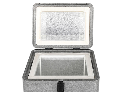 Vaccine Carrier Box