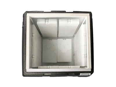 Vaccine Carrier Box
