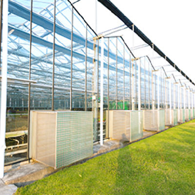 Vacuum Insulating Glass (VIG)